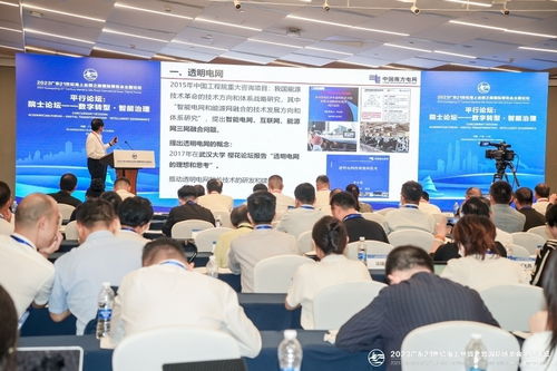 李立浧院士 中國正研發(fā)世界首套電力人工智能軟件系統(tǒng)